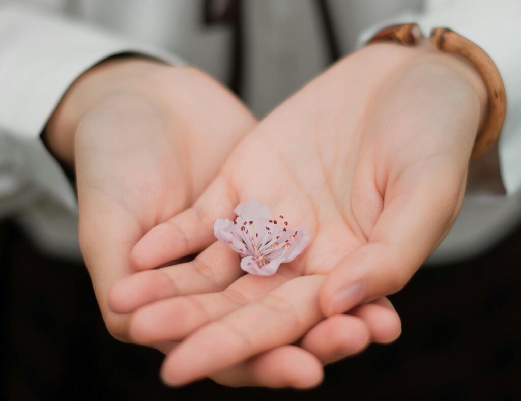 pexels photo 460295 460295 Close-up of hands gently holding a delicate pink flower symbolizing care and nature.